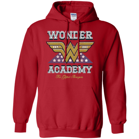 Sweatshirts Red / Small Wonder Academy Pullover Hoodie