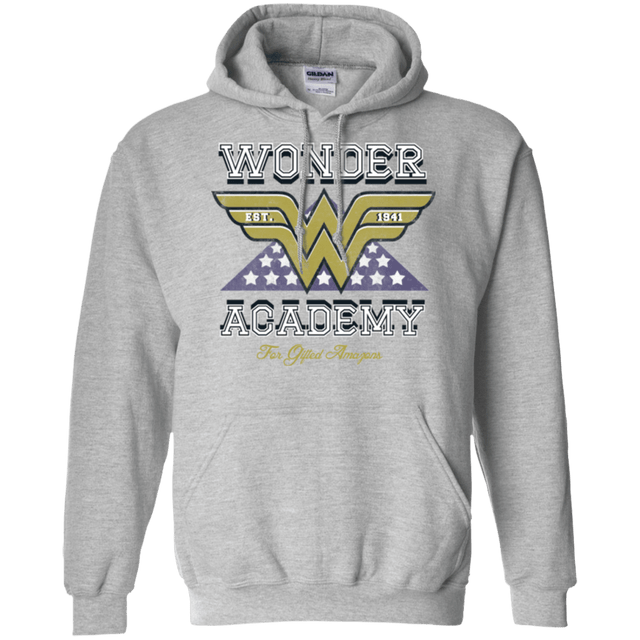 Sweatshirts Sport Grey / Small Wonder Academy Pullover Hoodie