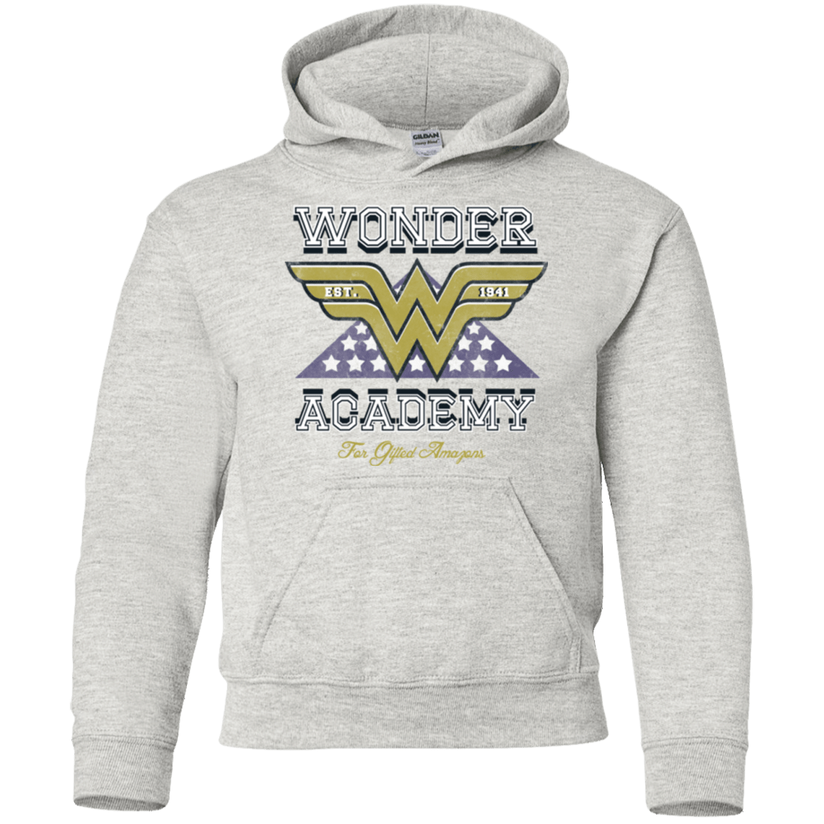 Sweatshirts Ash / YS Wonder Academy Youth Hoodie