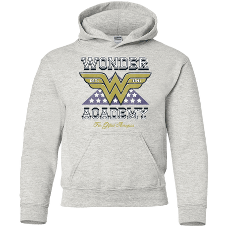 Sweatshirts Ash / YS Wonder Academy Youth Hoodie