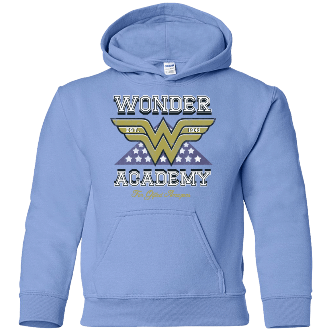 Sweatshirts Carolina Blue / YS Wonder Academy Youth Hoodie