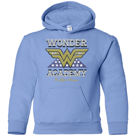 Sweatshirts Carolina Blue / YS Wonder Academy Youth Hoodie