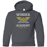 Sweatshirts Charcoal / YS Wonder Academy Youth Hoodie