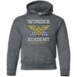Sweatshirts Dark Heather / YS Wonder Academy Youth Hoodie