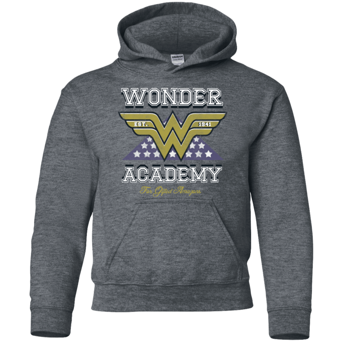 Sweatshirts Dark Heather / YS Wonder Academy Youth Hoodie