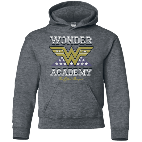 Sweatshirts Dark Heather / YS Wonder Academy Youth Hoodie