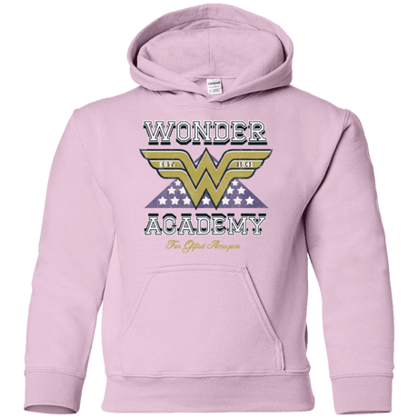 Sweatshirts Light Pink / YS Wonder Academy Youth Hoodie