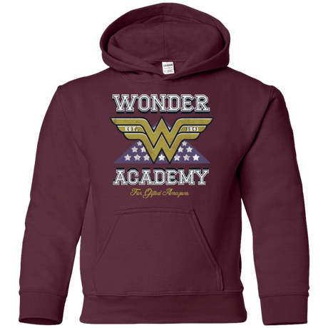 Sweatshirts Maroon / YS Wonder Academy Youth Hoodie