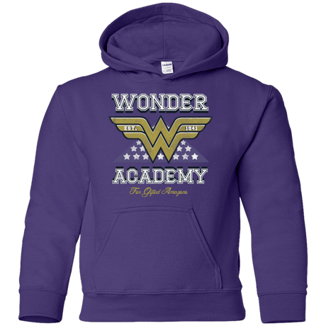 Sweatshirts Purple / YS Wonder Academy Youth Hoodie