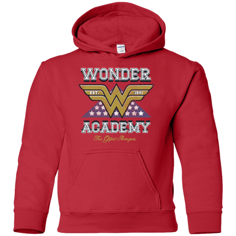 Sweatshirts Red / YS Wonder Academy Youth Hoodie