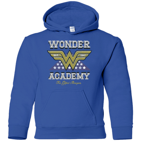 Sweatshirts Royal / YS Wonder Academy Youth Hoodie