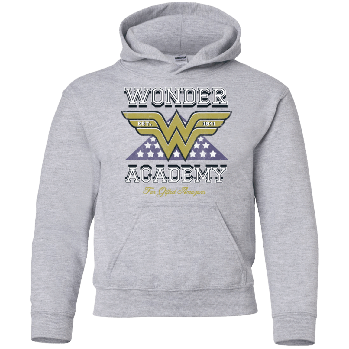 Sweatshirts Sport Grey / YS Wonder Academy Youth Hoodie