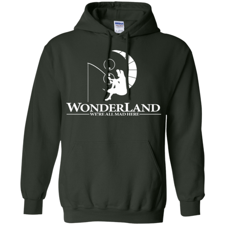 Sweatshirts Forest Green / Small Wonderland Animation Pullover Hoodie