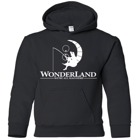 Sweatshirts Black / YS Wonderland Animation Youth Hoodie