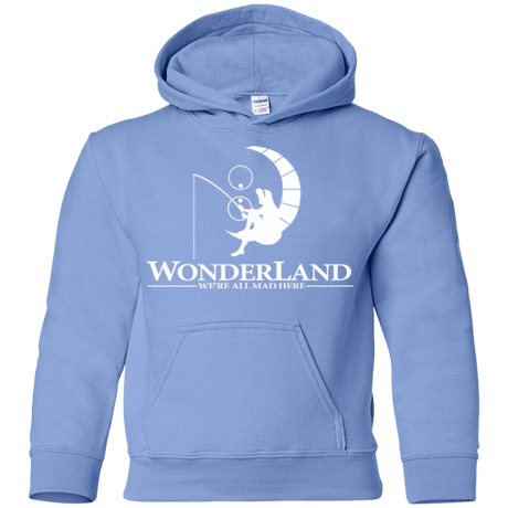 Sweatshirts Carolina Blue / YS Wonderland Animation Youth Hoodie