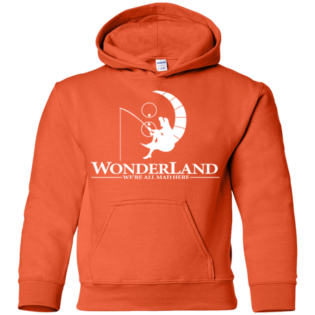 Sweatshirts Orange / YS Wonderland Animation Youth Hoodie