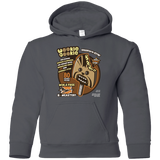 Sweatshirts Charcoal / YS Wookie Cookie Youth Hoodie