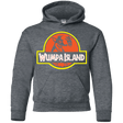 Sweatshirts Dark Heather / YS Wumpa Island Youth Hoodie