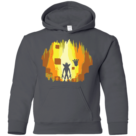 Sweatshirts Charcoal / YS Wumpa World Youth Hoodie