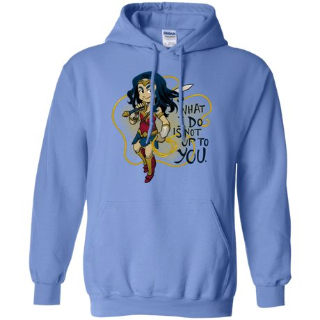 Sweatshirts Carolina Blue / Small WW Text Pullover Hoodie