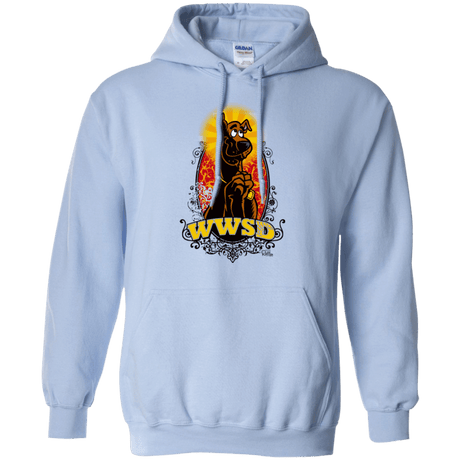 Sweatshirts Light Blue / Small WWSD Pullover Hoodie