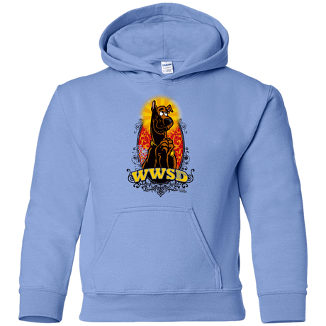 Sweatshirts Carolina Blue / YS WWSD Youth Hoodie