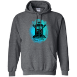 Sweatshirts Dark Heather / Small WWTW Pullover Hoodie