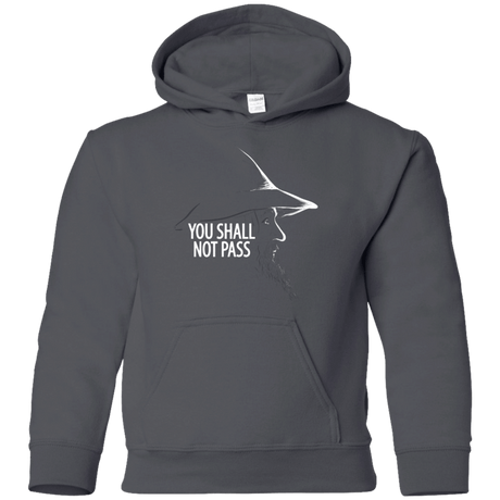 Sweatshirts Charcoal / YS YOU SHALL NOT PASS (2) Youth Hoodie