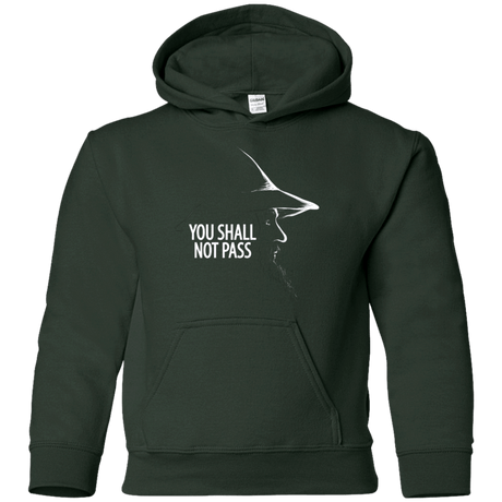 Sweatshirts Forest Green / YS YOU SHALL NOT PASS (2) Youth Hoodie