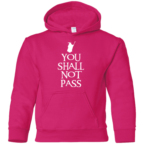 Sweatshirts Heliconia / YS You shall not pass Youth Hoodie