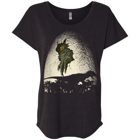 T-Shirts Vintage Black / X-Small A Nightmare is Born Triblend Dolman Sleeve