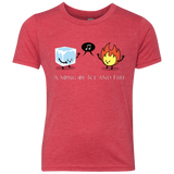 T-Shirts Vintage Red / YXS A Song of Ice and Fire Youth Triblend T-Shirt