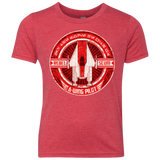T-Shirts Vintage Red / YXS A-Wing Youth Triblend T-Shirt