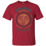 T-Shirts Cardinal / Small Airbending University T-Shirt