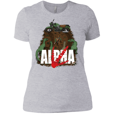 T-Shirts Heather Grey / X-Small Akira Park Women's Premium T-Shirt