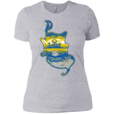 T-Shirts Heather Grey / X-Small Aladdin Silhouette Women's Premium T-Shirt