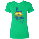 T-Shirts Envy / S Aladdin Silhouette Women's Triblend T-Shirt