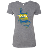T-Shirts Premium Heather / S Aladdin Silhouette Women's Triblend T-Shirt