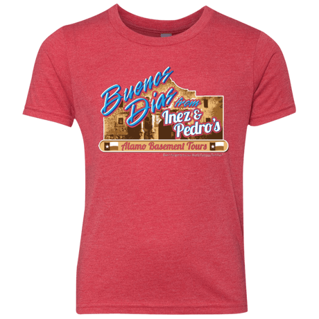 T-Shirts Vintage Red / YXS Alamo Basement Youth Triblend T-Shirt