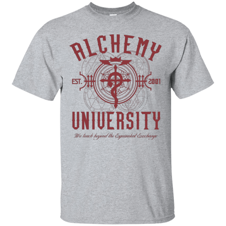 T-Shirts Sport Grey / Small Alchemy University T-Shirt