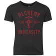 T-Shirts Vintage Black / YXS Alchemy University Youth Triblend T-Shirt