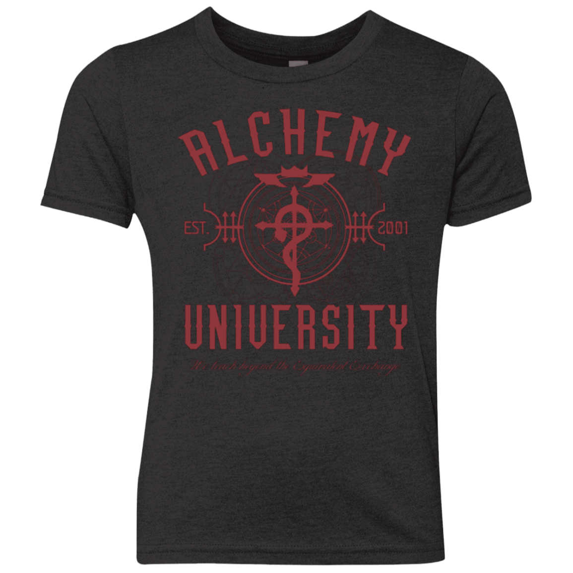 T-Shirts Vintage Black / YXS Alchemy University Youth Triblend T-Shirt