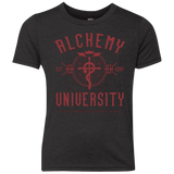 T-Shirts Vintage Black / YXS Alchemy University Youth Triblend T-Shirt