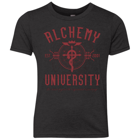 T-Shirts Vintage Black / YXS Alchemy University Youth Triblend T-Shirt