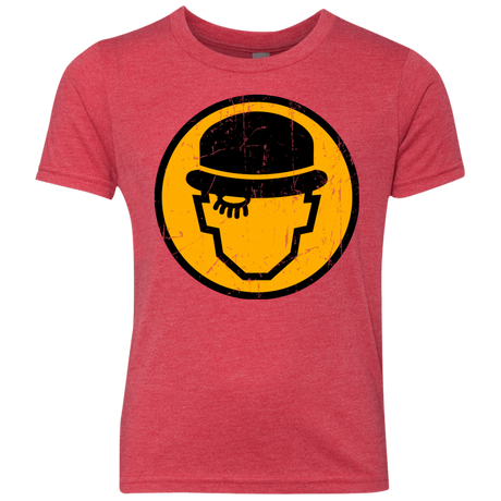 T-Shirts Vintage Red / YXS Alex Sign Youth Triblend T-Shirt