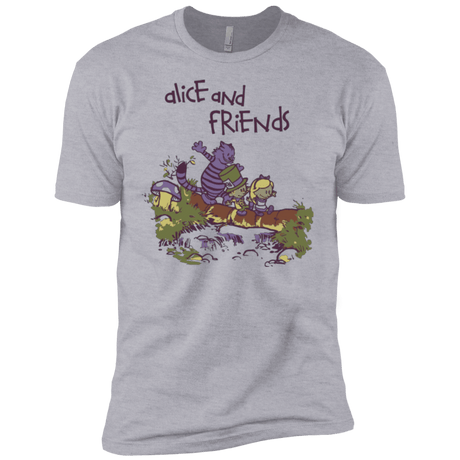 T-Shirts Heather Grey / YXS Alice and Friends Boys Premium T-Shirt