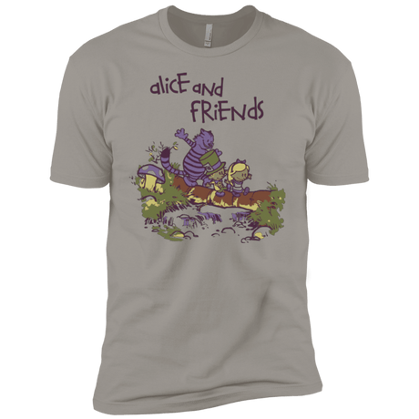T-Shirts Light Grey / YXS Alice and Friends Boys Premium T-Shirt
