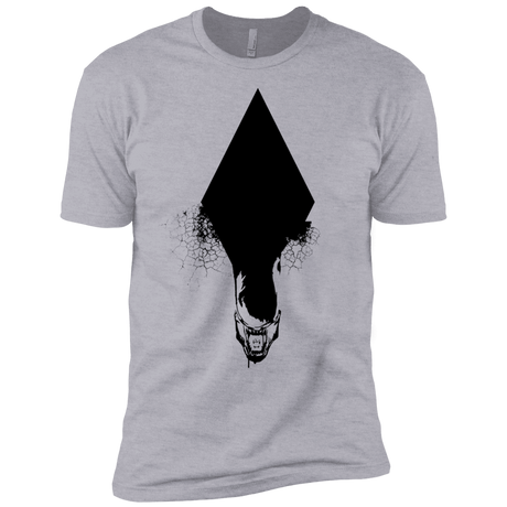 T-Shirts Heather Grey / YXS Alien Boys Premium T-Shirt