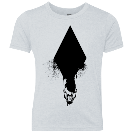 T-Shirts Heather White / YXS Alien Youth Triblend T-Shirt