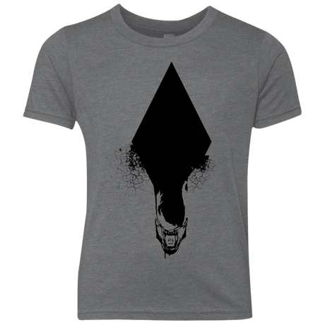 T-Shirts Premium Heather / YXS Alien Youth Triblend T-Shirt